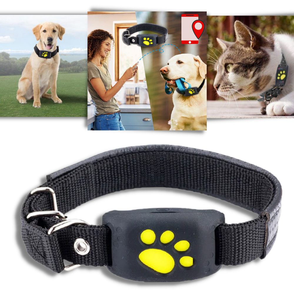 GPS Volgband voor Huisdieren