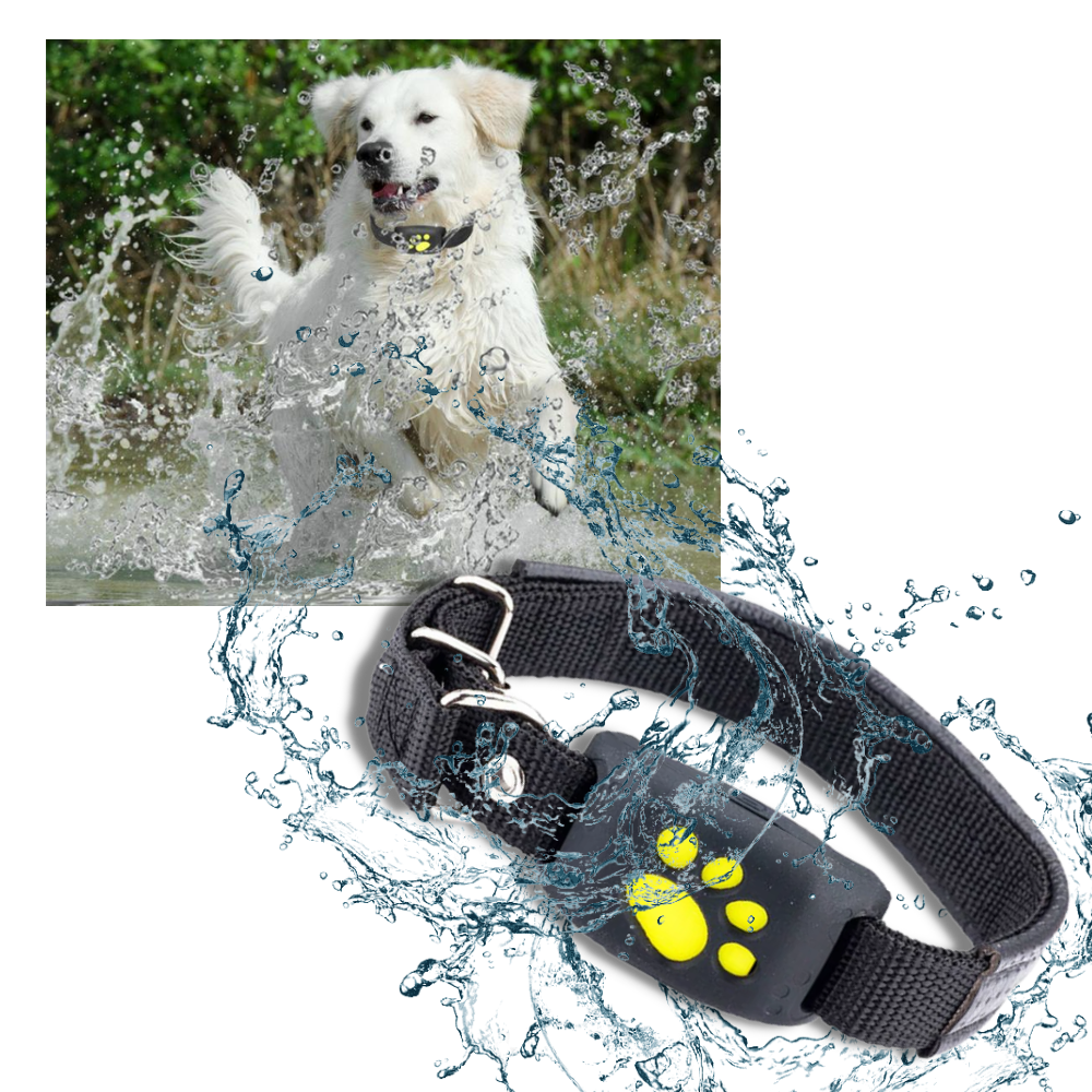 GPS Volgband voor Huisdieren