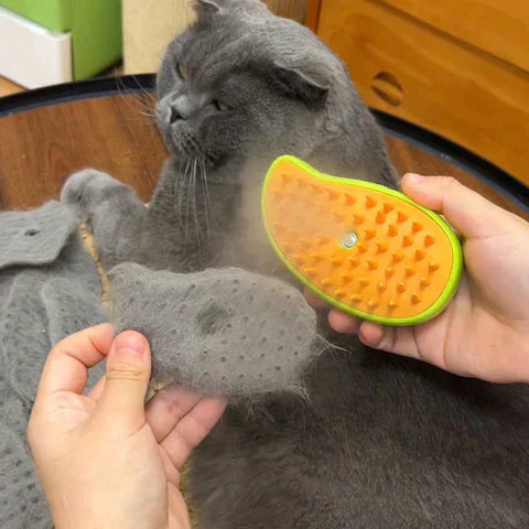 Luxe Kattenverzorgingsborstel met Stoomtechnologie voor Ontspannen Verzorging en Glanzende Vacht – Zachte Borstelharen, Makkelijk te Reinigen
