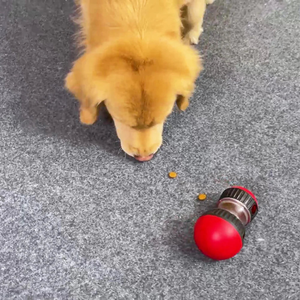 Intelligent Speelgoed SnackiMind | Interactieve Voederdispenser | Voor Honden & Katten | Voor Bezigheid & Beloning