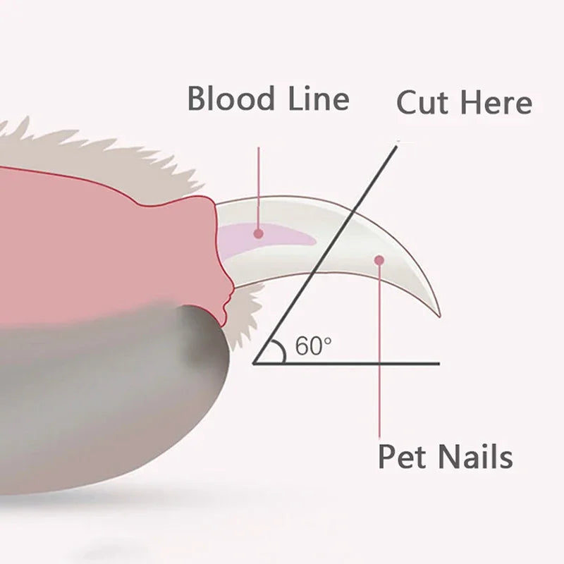LumiPaw Pro | Professionele Nagelschaar met LED-Licht | Veilige Snede voor Honden, Katten & Kleine Dieren | RVS Messen & Antislip Handvat