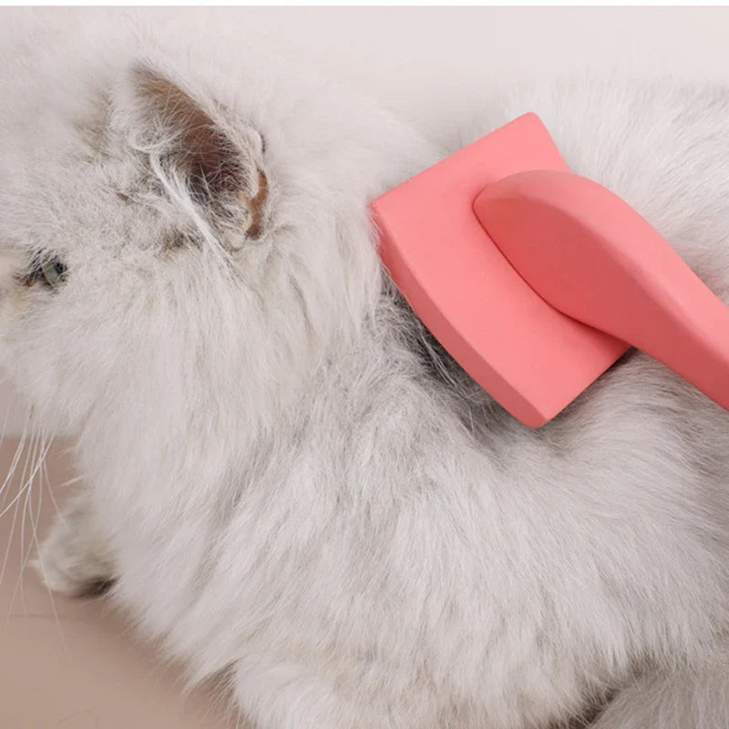 Natuurlijke Vachtverzorgingsborstel ProRake | Handmatige Haarverwijderingsborstel met Houten Handvat | Herbruikbaar & Duurzaam | 21×10 cm