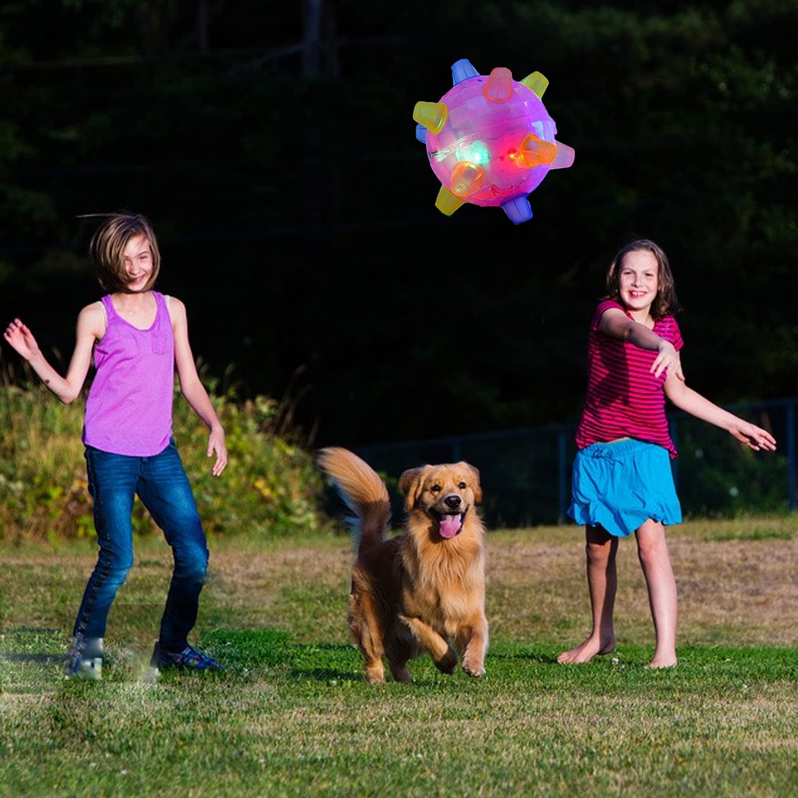 1+1 GRATIS | BounceBuddy – De interactieve springbal voor honden!