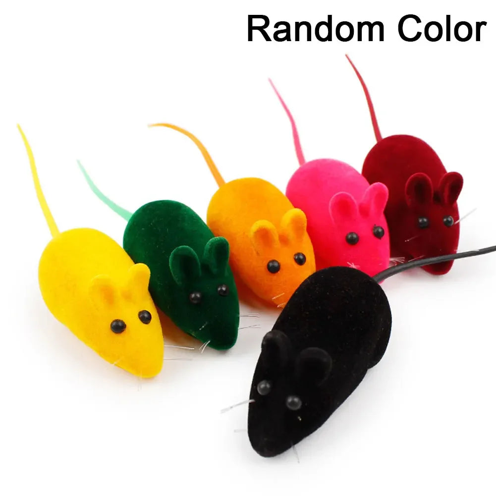 SnackPaws | Leuk knisper-speelgoed voor honden | Chips-ontwerp | Pluche & piepfunctie | Voor kleine & middelgrote honden