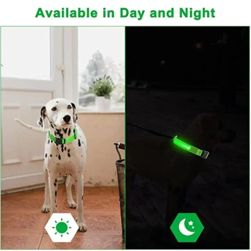 LUXPETS GlowSafe LED Hondenhalsband | Verlicht & Oplaadbaar | Verstelbaar & Waterdicht | Anti-Verlies in de Nacht