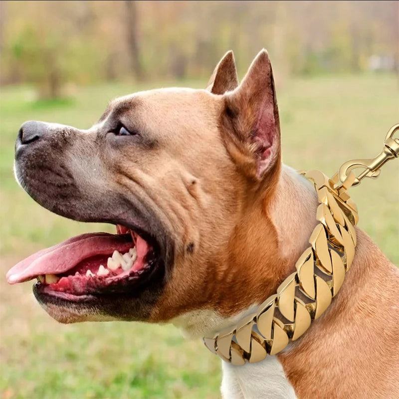 KrachtHals Metalen Hondenhalsband – Robuuste RVS Halsband voor Grote Honden