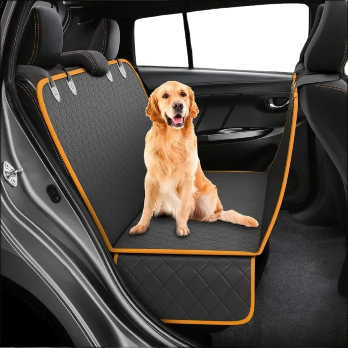 SnugRider Pro | Geen vervuilde auto na het wandelen met je hond