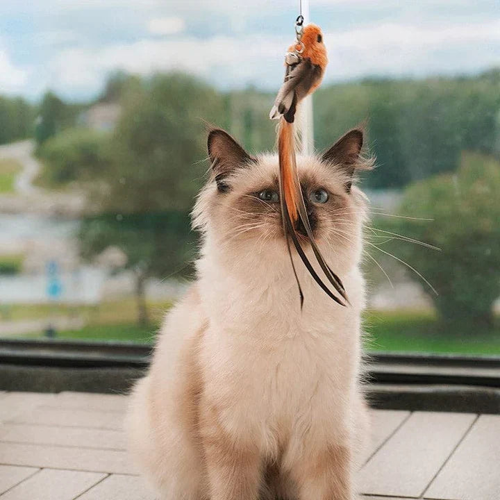 Interactief Kat Speelgoed met Realistische Vogelbewegingen – Boeiende en Veilige Simulatie voor Katten
