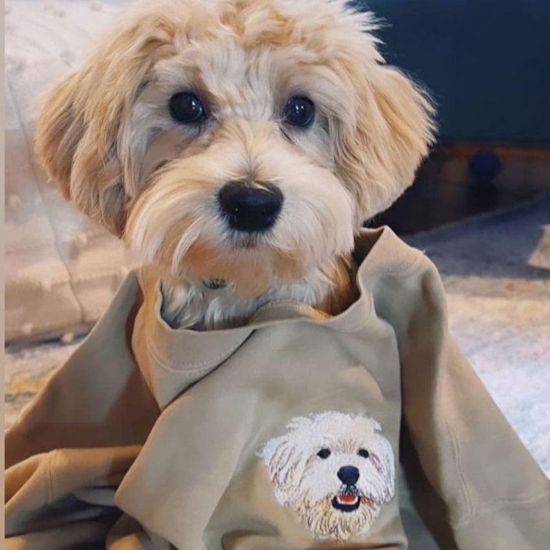 PetSweet | Draag je lieveling altijd bij je