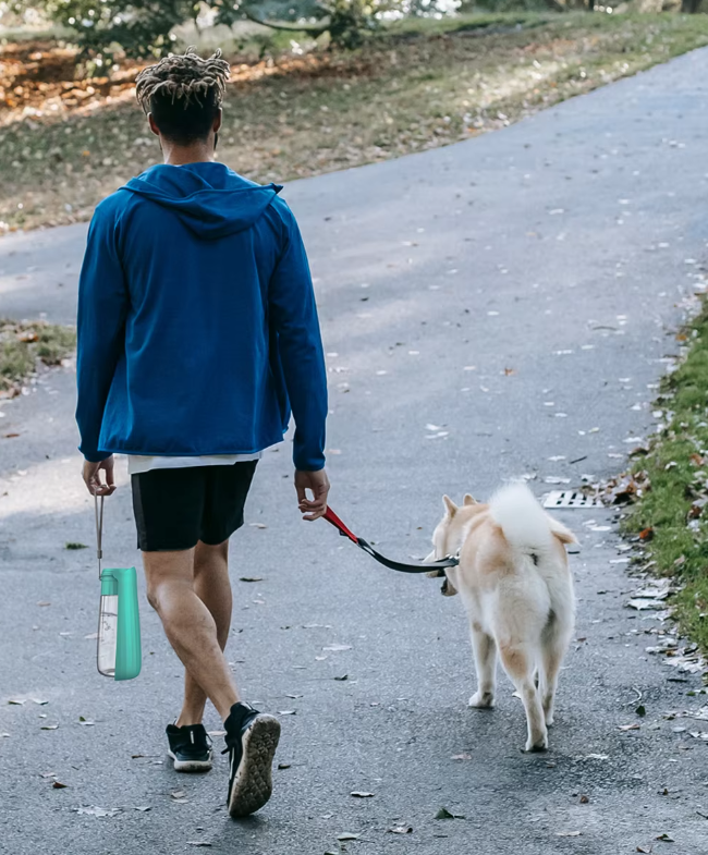 Hond Waterfles - Reis Leaksafe 550ml