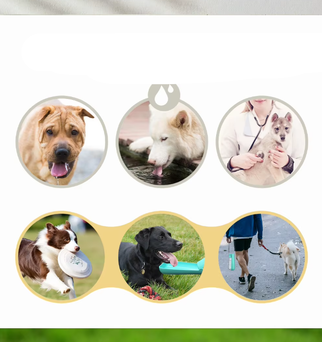 Hond Waterfles - Reis Leaksafe 550ml