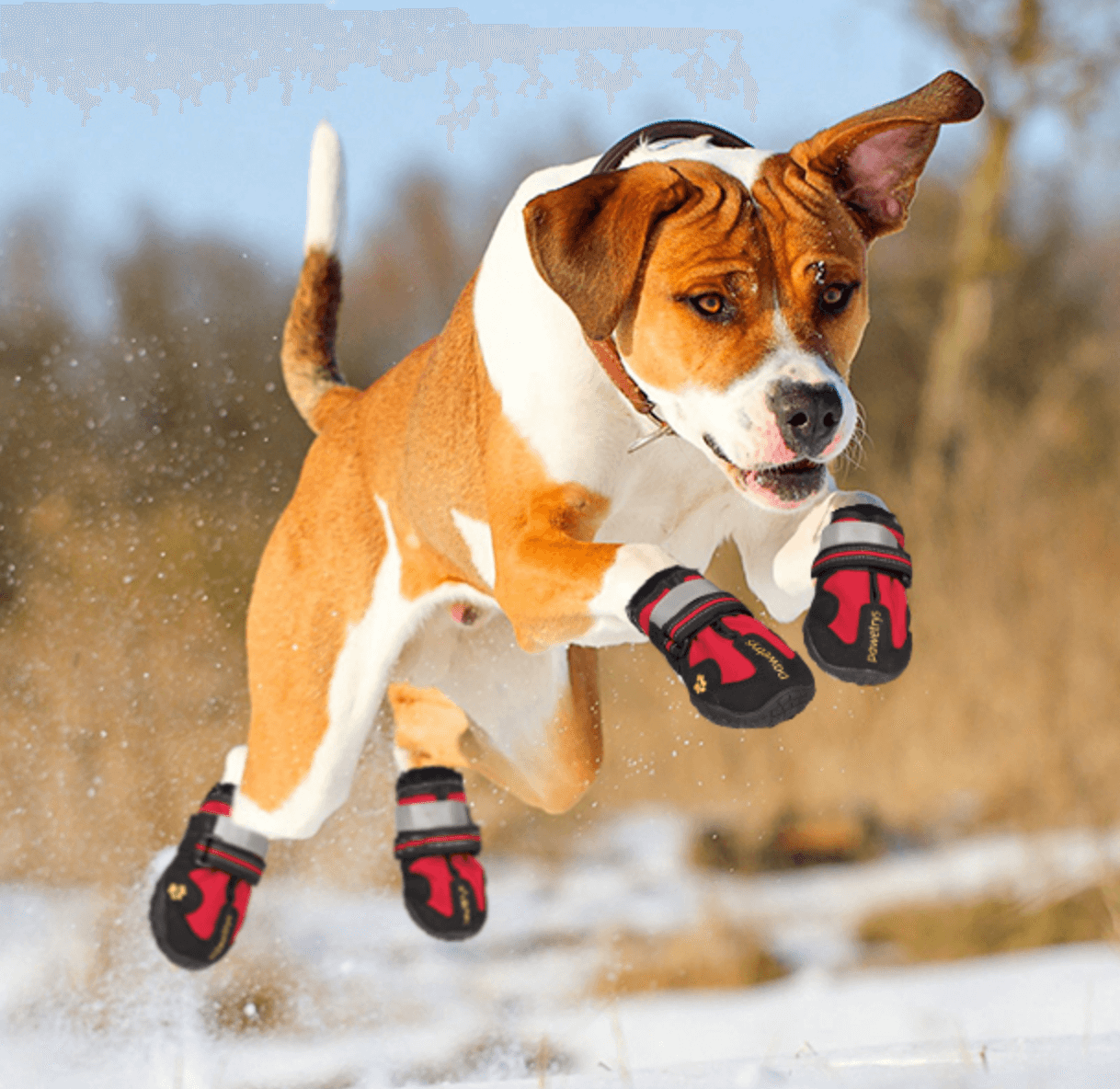 Waterdichte Antislip Hondenlaarzen - Optimale Bescherming