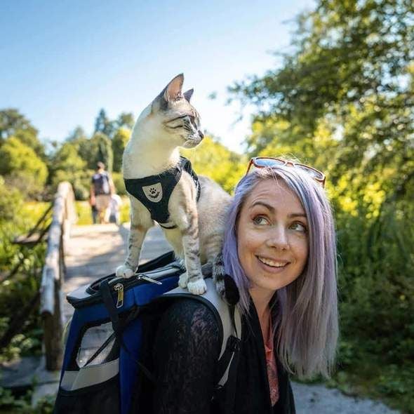 Reflecterende Kat Harnas en Leash Set met Verstelbare Bandjes voor Veilige Nachtavonturen – Comfortabele Pasvorm voor Katten en Kittens