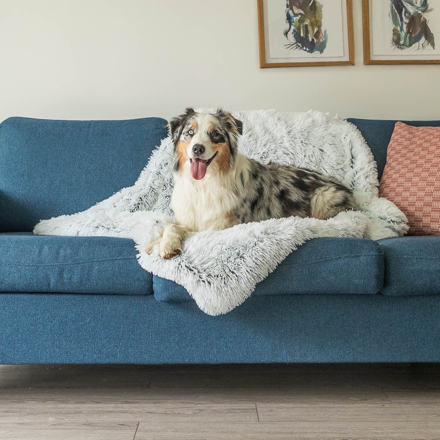Luxe Kalmerende Hondendekentje – Zacht, Diervriendelijk Stof voor Verbeterde Slaap en Comfort, Machinewasbaar, Meerdere Maten Beschikbaar