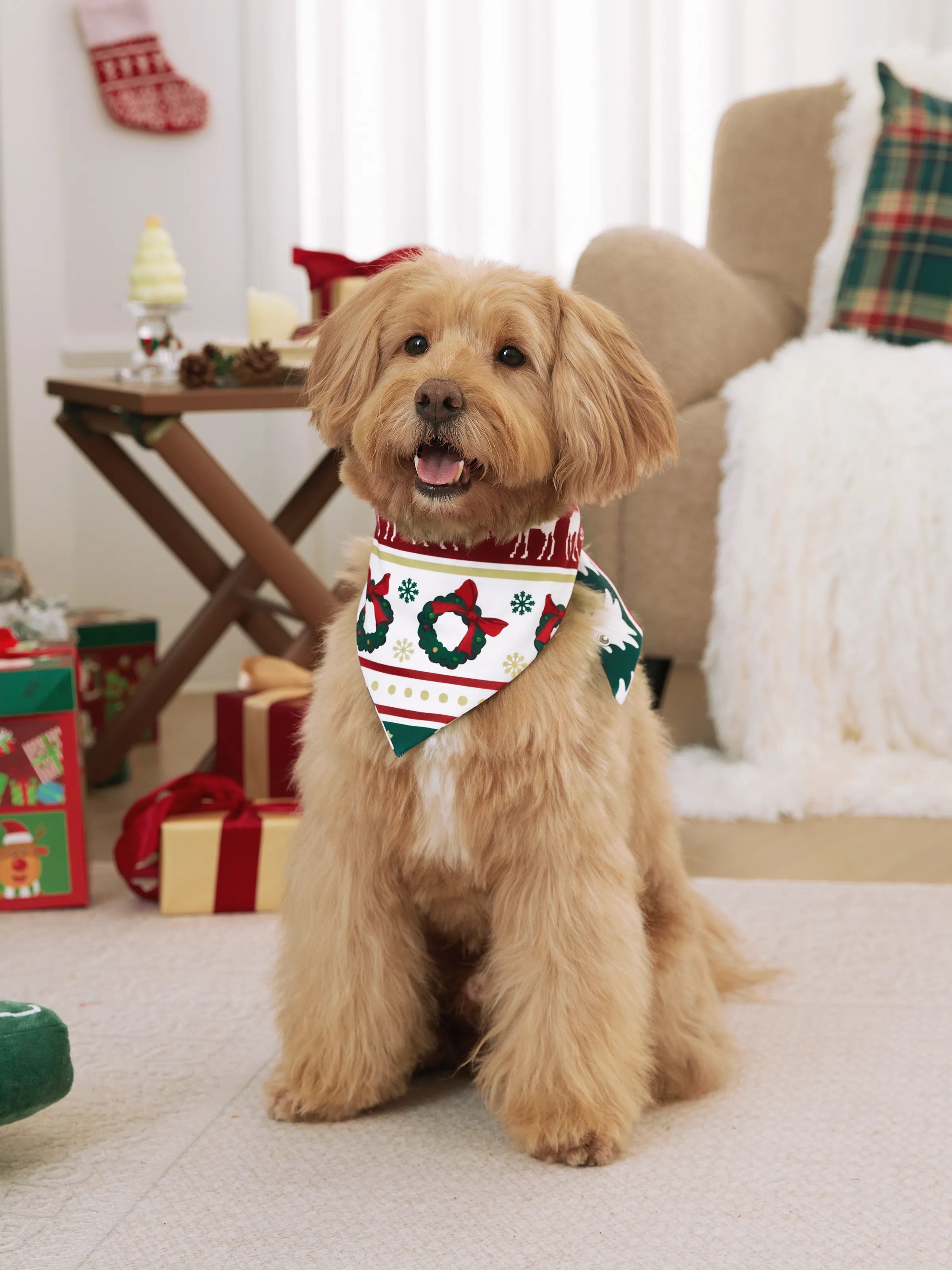 ReindeerJams | Gezinsmatching Kerstpyjama's met Rendier en Kerstboompatroon met ColorBlock Sokken