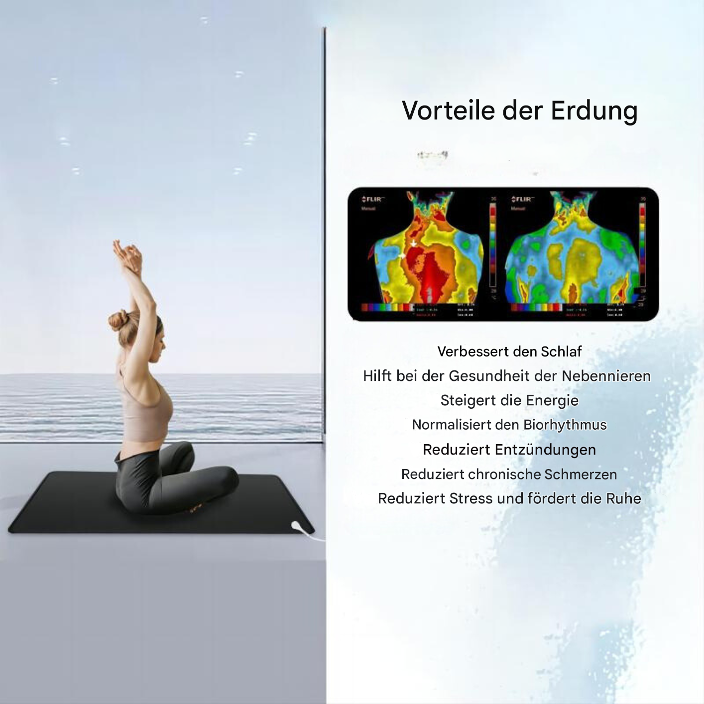 Aardingsmat van carbonleer – EarthConnect