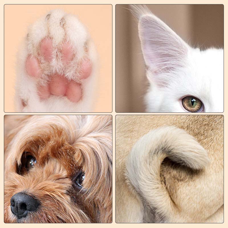 1+1 GRATIS | PawPerfect - LED Huisdierhaartrimmer Pro