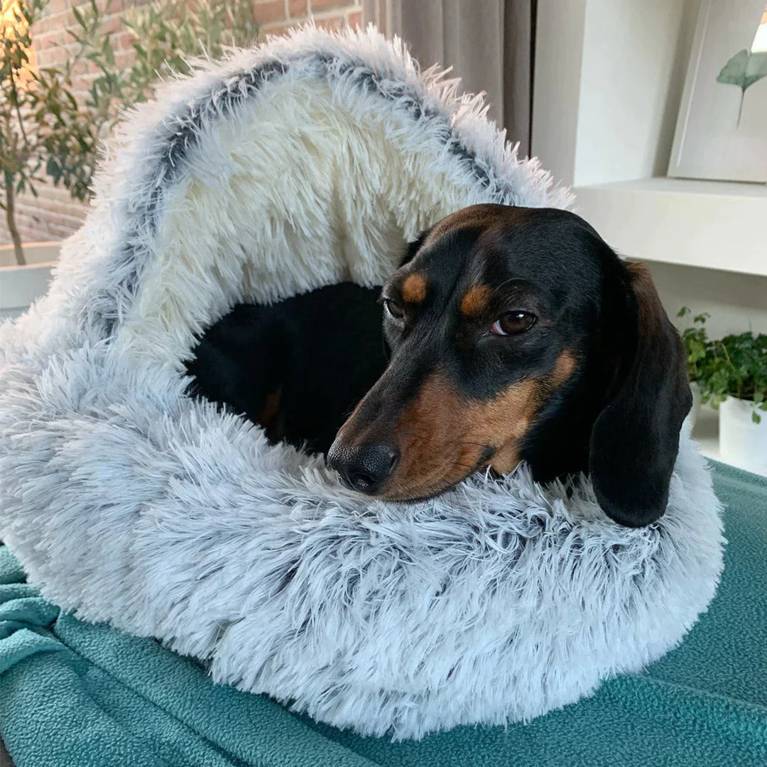 FurHaven - Mijn hond houdt ervan