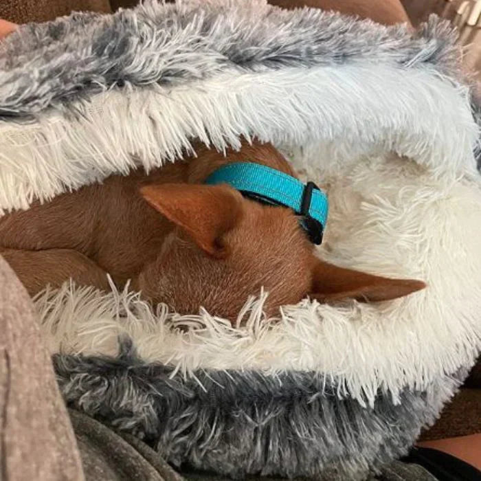 FurHaven - Mijn hond houdt ervan