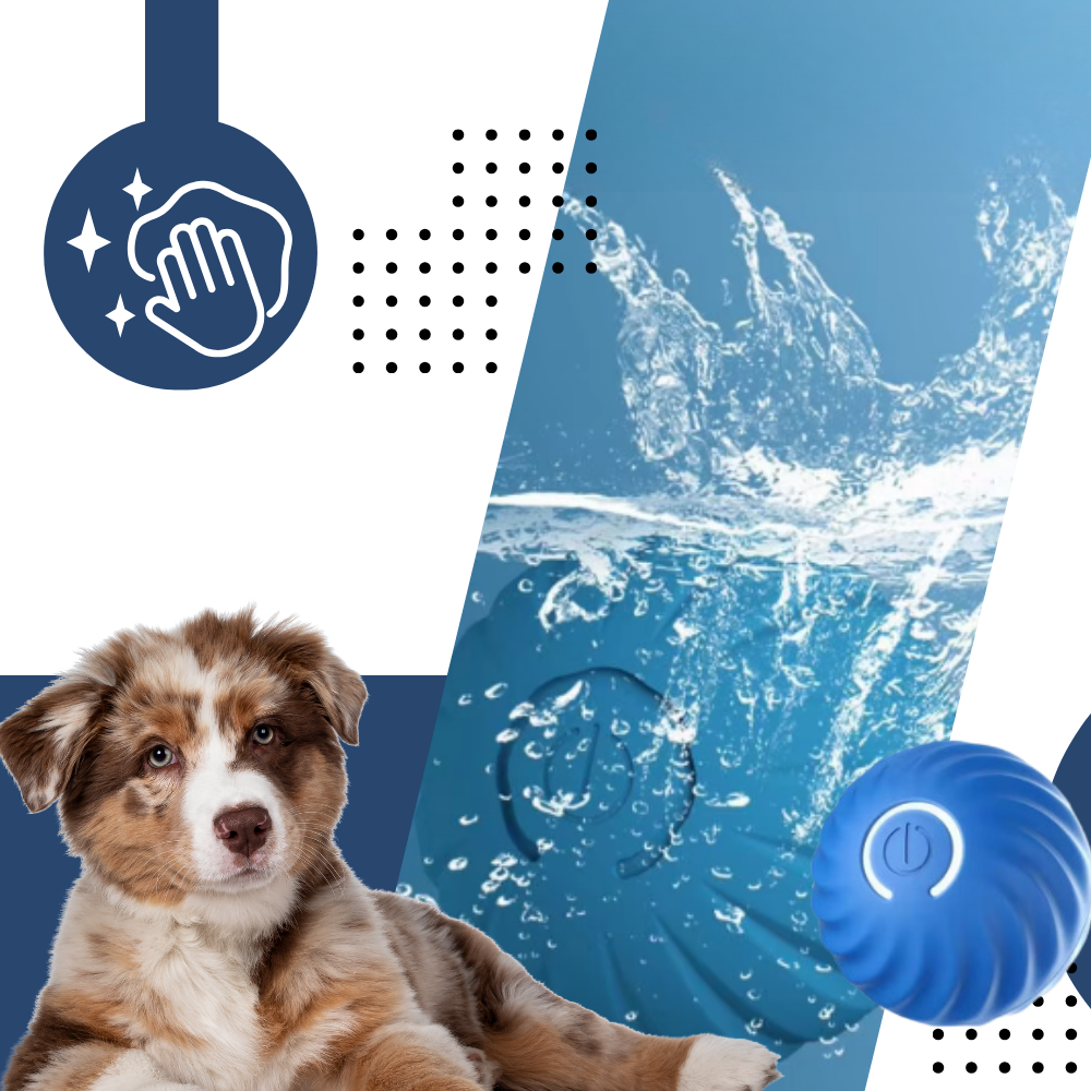 Obstakel Vermijdende Hondenspeelbal