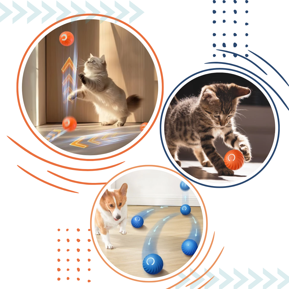 Obstakel Vermijdende Hondenspeelbal