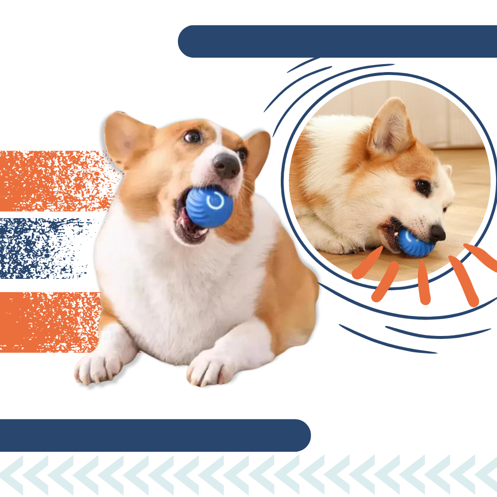 Obstakel Vermijdende Hondenspeelbal