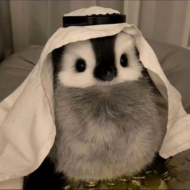 PinguinPlezier Pluche Pinguïn | Super realistische pluche vriend