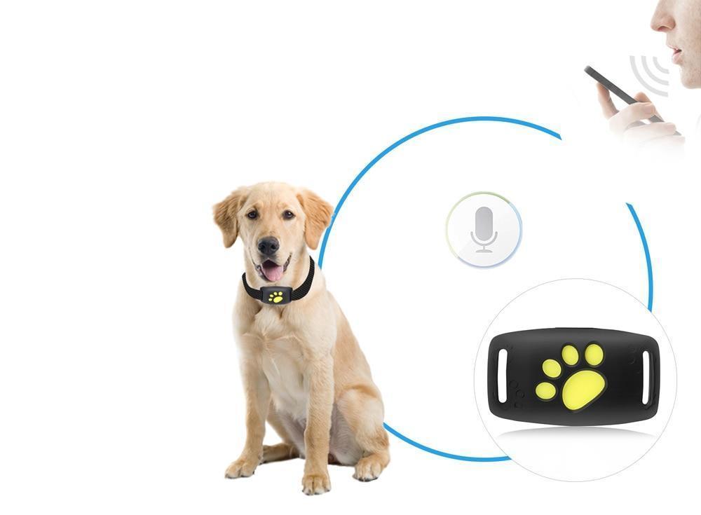 Trackcat - Real-Time GPS Kat Tracker Halsband met Betrouwbare Satelliet Tracking