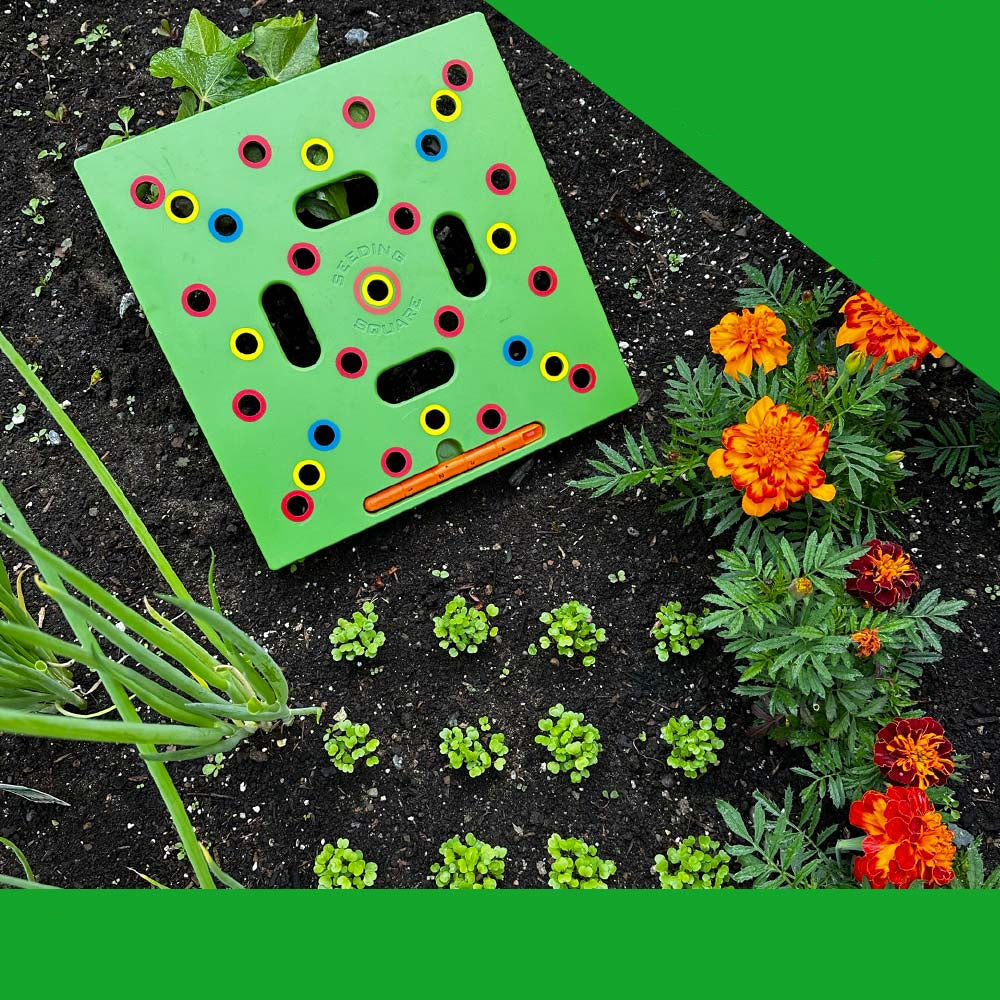 GardenLux Elite Zaadstartset | Transformeer je tuinervaring met deskundige begeleiding en premium gereedschap