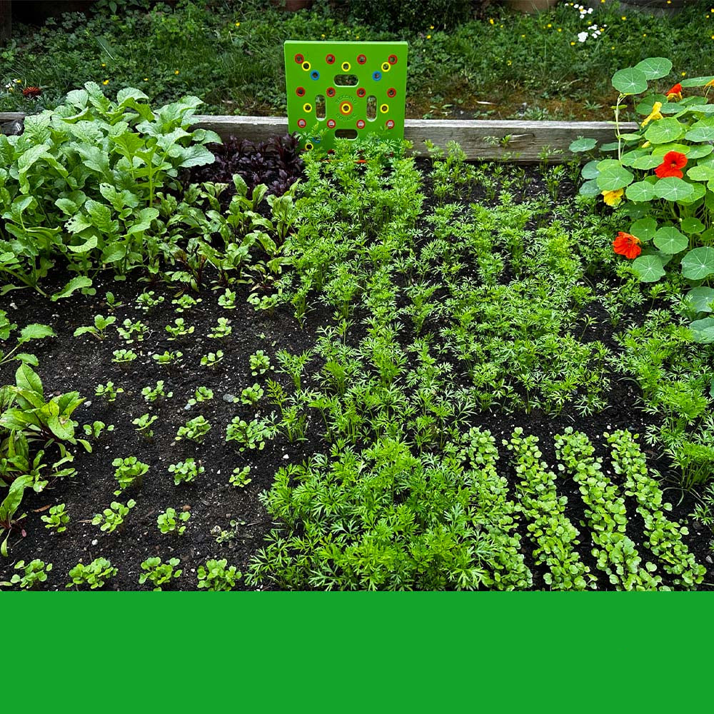 GardenLux Elite Zaadstartset | Transformeer je tuinervaring met deskundige begeleiding en premium gereedschap