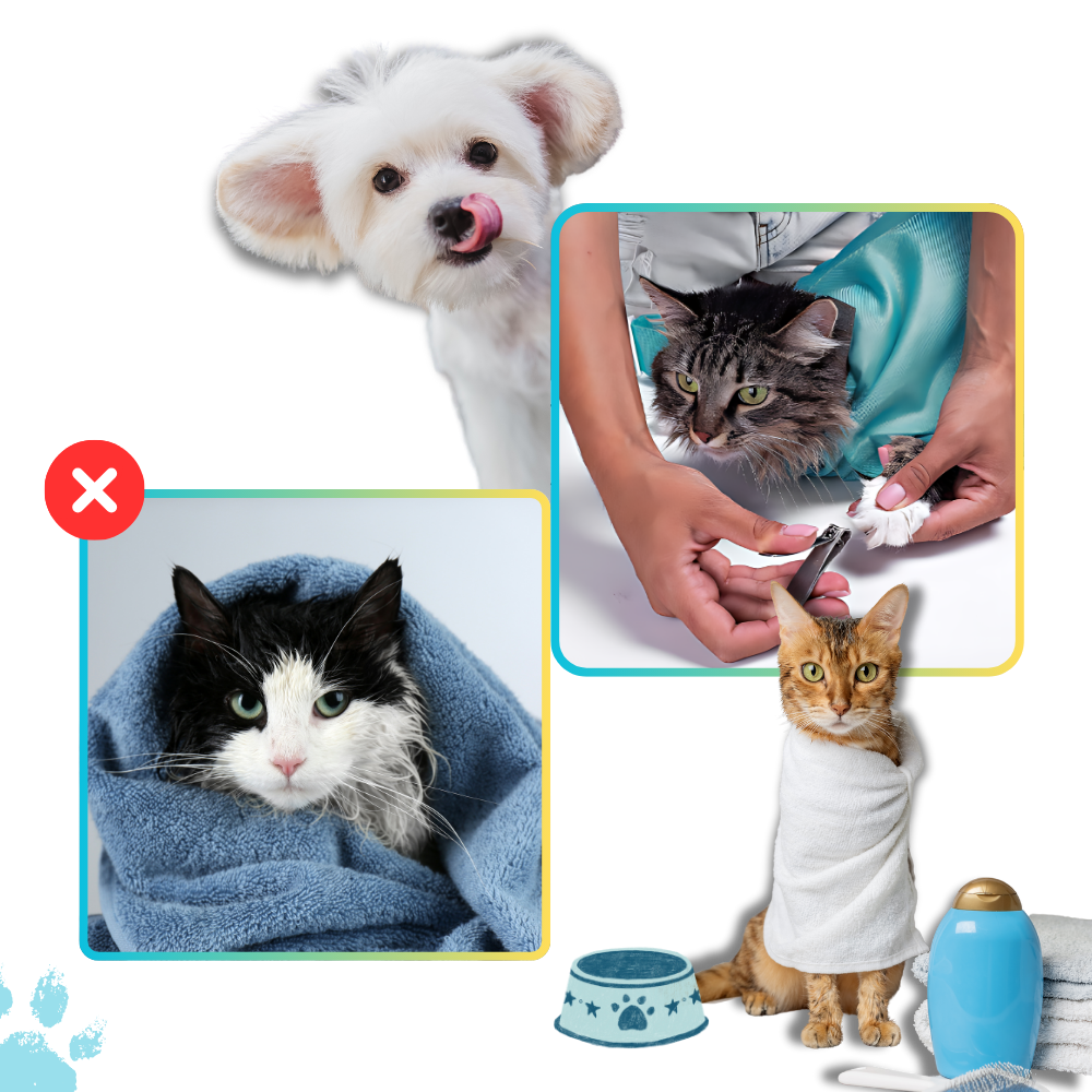 Serene Journey Kat Reis Tas