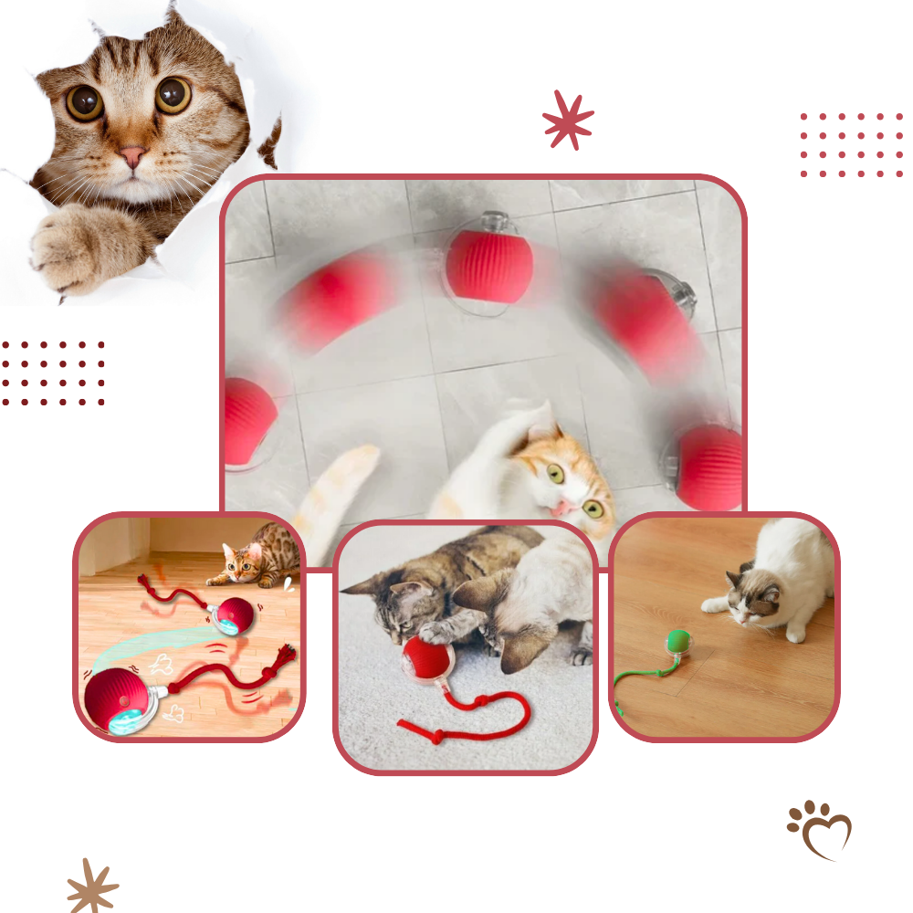 Slim Interactief Kattenbal Speelgoed