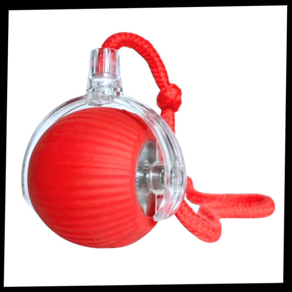 Slim Interactief Kattenbal Speelgoed