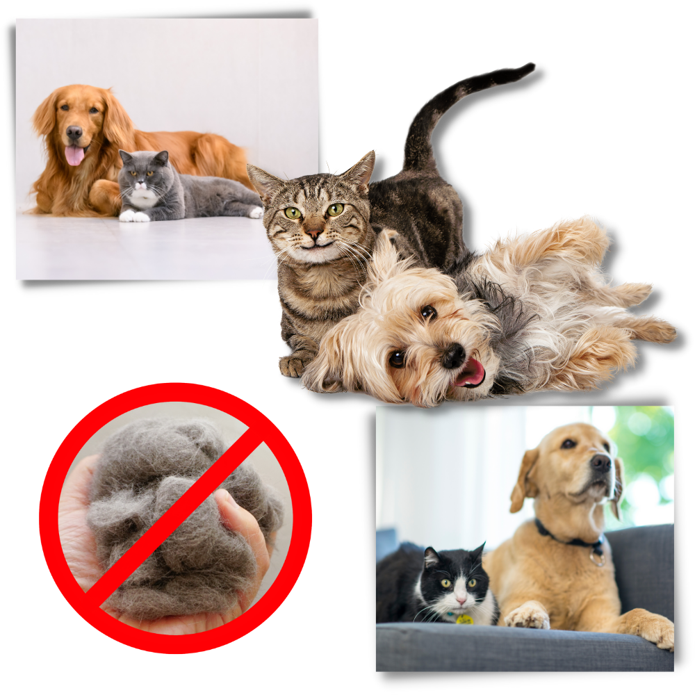 Ultieme Ontviltborstel voor Honden en Katten