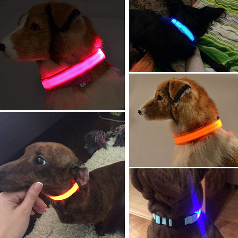 Luminous Dierenhalsband met LED-licht – Oplaadbaar, Waterbestendig, Verstelbare Pasvorm voor Verbeterde Veiligheid 's Nachts