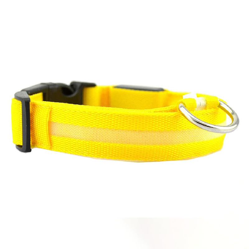 Luminous Dierenhalsband met LED-licht – Oplaadbaar, Waterbestendig, Verstelbare Pasvorm voor Verbeterde Veiligheid 's Nachts